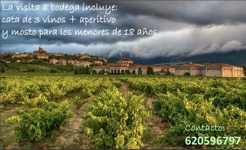 Villa La Puerta De Viana, Con Desayuno, Piscina Y Posibilidad Visita A Bodega! à Viana  Extérieur photo